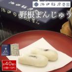 創業明治維新 浜口福月堂の野根まんじゅう 40個入