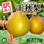 王秋梨 マンゴー梨 約4kg