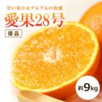 愛果28号 約9kg