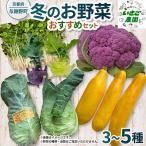 冬のお野菜 セット 3~5種