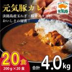 元気豚 レトルトポークカレー 20食セット 200g×20袋