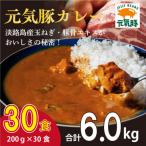元気豚 レトルトポークカレー 30食セット 200g×30袋