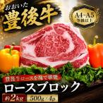 おおいた豊後牛ロースブロック 約2kg