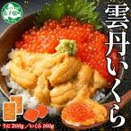 ウニ100g×2個
