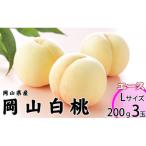 桃 2026年 白桃 3玉