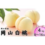 桃 2026年 白桃 8玉