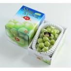 越冬 ぶどうシャイン マスカット 1房 約600g