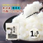 魚沼産 川西こしひかり1kg×5 令和8年産米