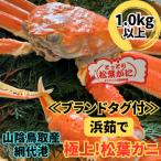 鳥取網代港 浜茹で 極上松葉ガニ1枚 1.0kg以上