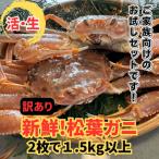 鳥取網代港 活 極上松葉ガニ1.5kgセット