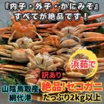 鳥取網代港 浜茹で 松葉ガニ2kgセット※お届けは2026年11月…