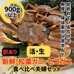 鳥取網代港 活 松葉ガニ1枚 900g以上