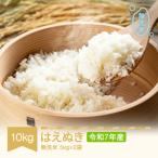 ふるさと納税 村山市 令和7年産 はえぬき 10kg 無洗米