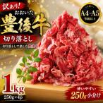 正統派黒毛和牛 おおいた豊後牛 切り落とし 1000g