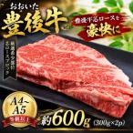 おおいた豊後牛芯ロースブロック 約600g