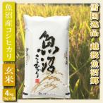 越後魚沼郷 魚沼産コシヒカリ 2kg×2袋