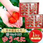 ゆうべに 約1kg