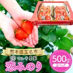 熊本 たまな産 イチゴ 恋みのり 約500g