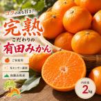 こだわりの完熟有田みかん 約2kg