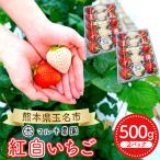 紅白いちご 約500g