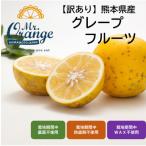 グレープフルーツ 3kg