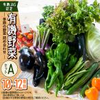 季節の野菜 詰め合わせ 10種類~12種類程度