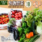 有機野菜セットB 季節の野菜 詰め合わせ