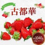いちご 古都華 260g×4P
