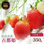 2027年 1~ いちご 古都姫 約350g