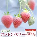 いちご コットンベリー 約500g