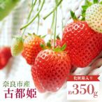 2027年 3~ いちご 古都姫 約350g