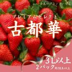 プレミアムセレクト古都華 いちご 2パック