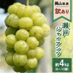 2026年発送 瀬戸ジャイアンツ 6~10房