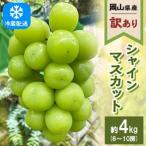 シャインマスカット 訳あり