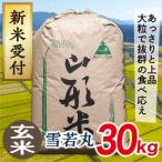 雪若丸30kg