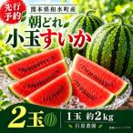 農家厳選 旬の朝どれ 小玉すいか2玉 1玉約2kg