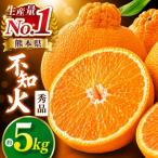 産不知火 秀品約5kg