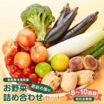 L-37 鮮度抜群 肥前の国のお野菜詰め合わせセット