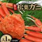 日本海獲れたて松葉ガニ 大 1枚