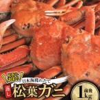 訳あり足が折れた蒸し松葉ガニ1kg前後
