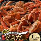 訳あり足が折れた蒸し松葉ガニ1.5kg前後