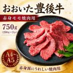おおいた豊後牛赤身モモ焼肉用 750g