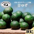 青ゆず 10kg