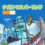 ナガシマスパーランド パスポート券 大人1名