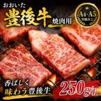 おおいた和牛 特選赤身焼肉 250g