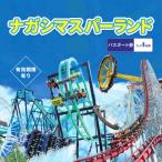 ナガシマスパーランド パスポート券 大人4名