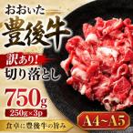 訳あり おおいた豊後牛切り落とし 750g