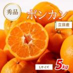 秀品 立目産 ポンカン 5kg