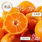 ポンカン 立目 秀品 5kg