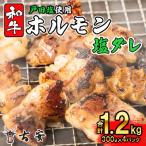 和牛 ミックス ホルモン 戸田 塩ダレ 1.2kg